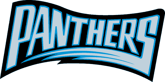 Carolina Panthers 1995 Wordmark Logo iron on transfers for fabric